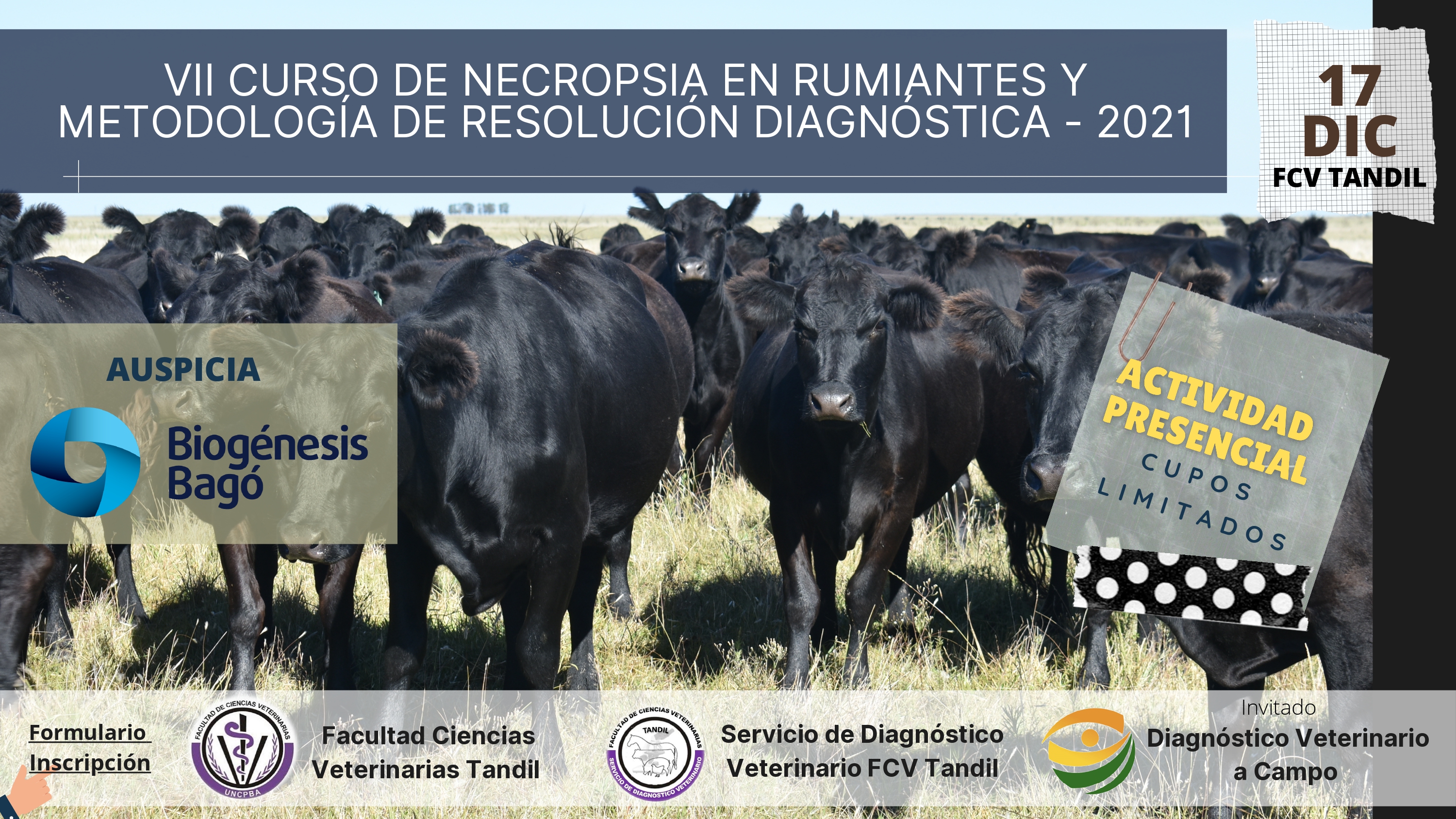 VII CURSO de Necropsia en Rumiantes y Metodología de Resolución Diagnóstica -17/12