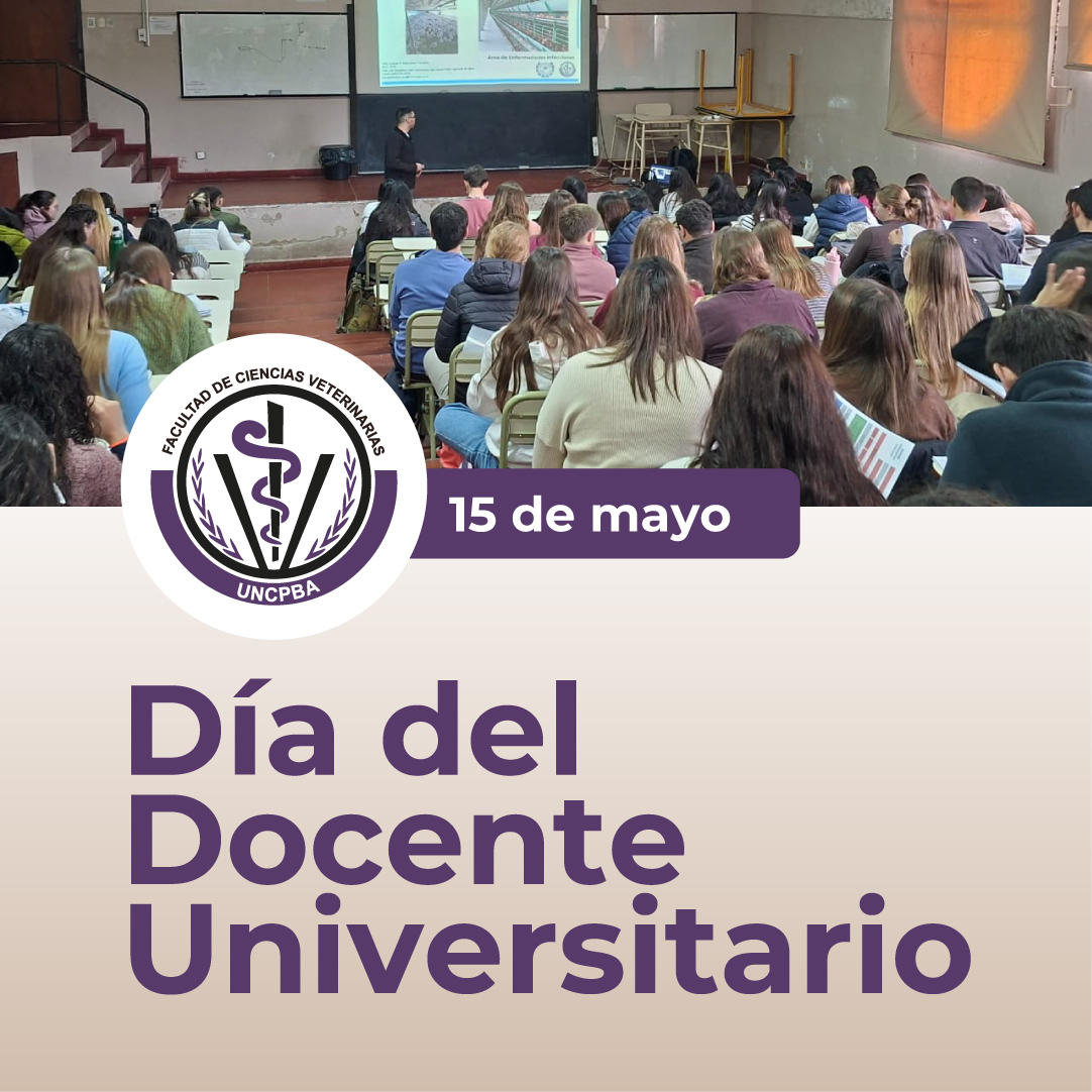 15 de mayo • Día del Docente Universitario