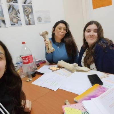 Estudiantes 221