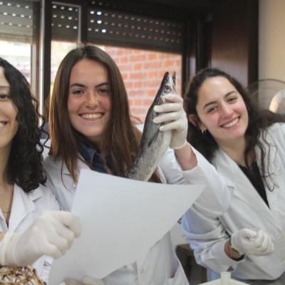 Estudiantes 241