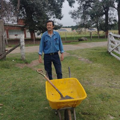 Dia Nodocente24 26