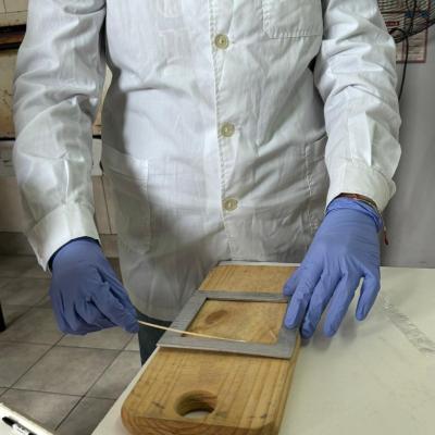 Actividad Extension Lta Coope Estandiltomate 27