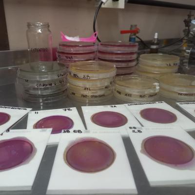 Analisis Lta Cooperativa 2