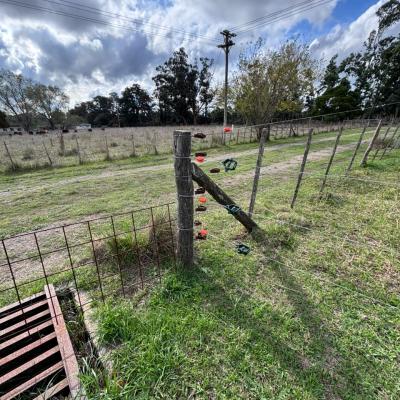 Jornada Alambrados Fcv 11