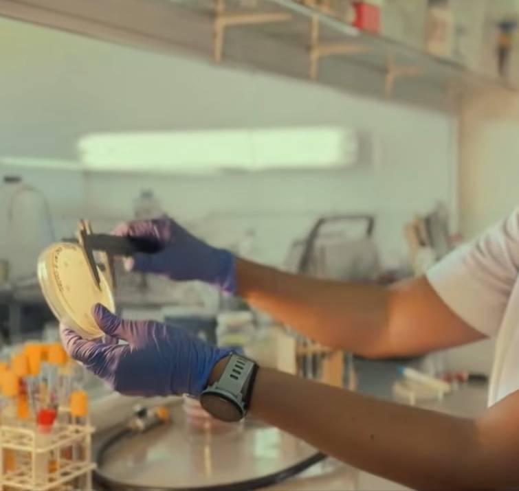 Ciencia y Compromiso: El Rol Fundamental del Laboratorio de Microbiología de la UNICEN en la Salud Pública