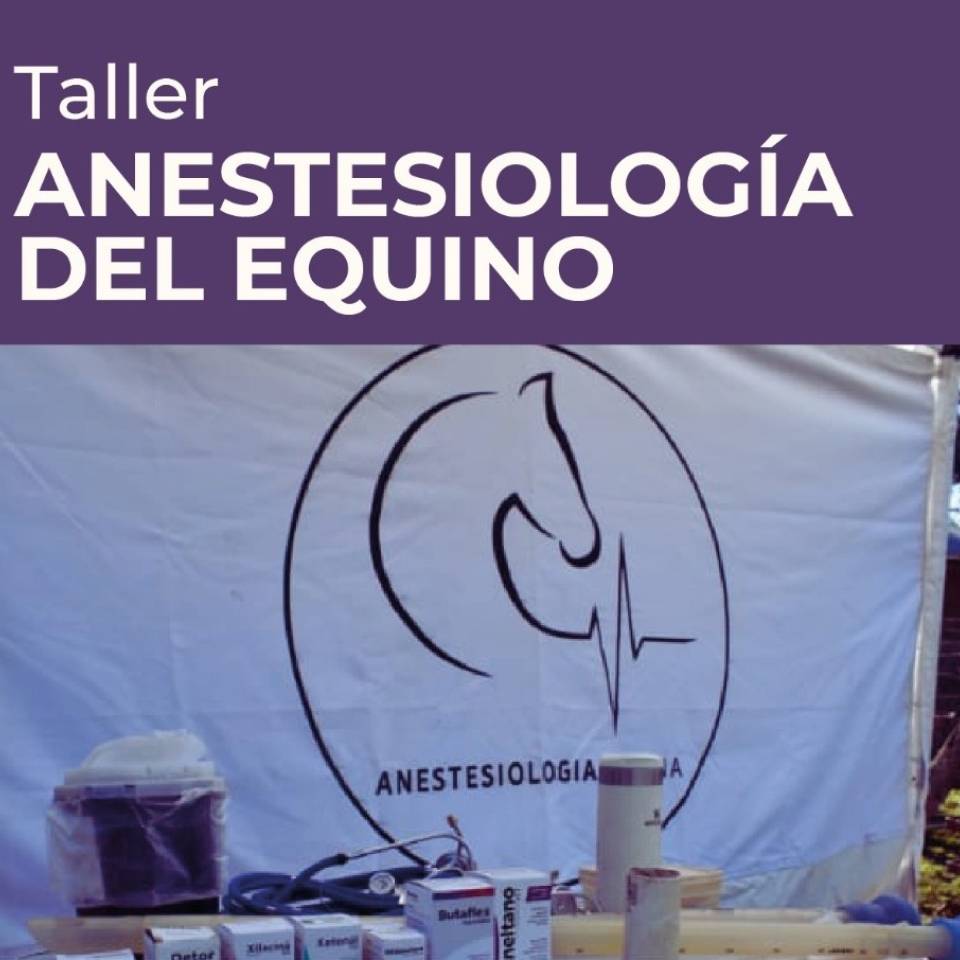 Taller de Anestesiología del Equino