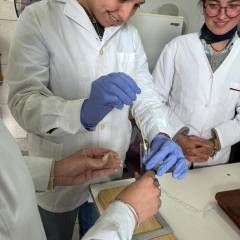 Desde la FCV a la comunidad: Futuros Tecnólogos/as de Alimentos refuerzan la Higiene Comunitaria