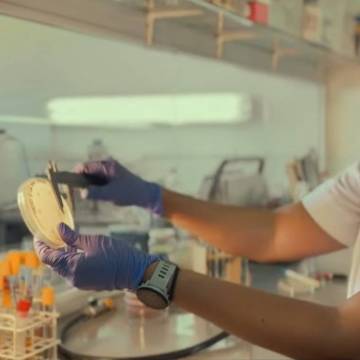 Ciencia y Compromiso: El Rol Fundamental del Laboratorio de Microbiología de la UNICEN en la Salud Pública