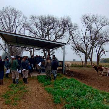 Visita de estudiantes a establecimiento Producción Bovina y Ovina