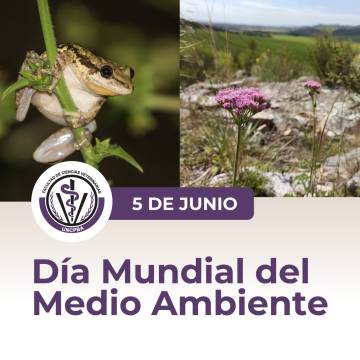 5 de Junio: Día Mundial del Medio Ambiente