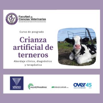 Curso de Posgrado: Crianza Artificial de Terneros - Abordaje clínico, diagnóstico y terapéutica